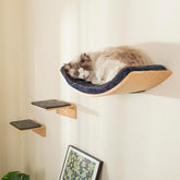 LIORCE Large Cat Wall Shelves with 2 Cat Wall Steps - Modern Cat Wall Furniture, Cream