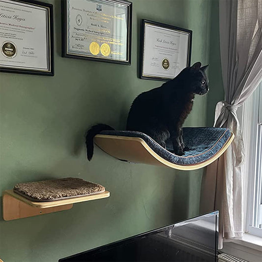 Are Cat Shelves a Good Idea?