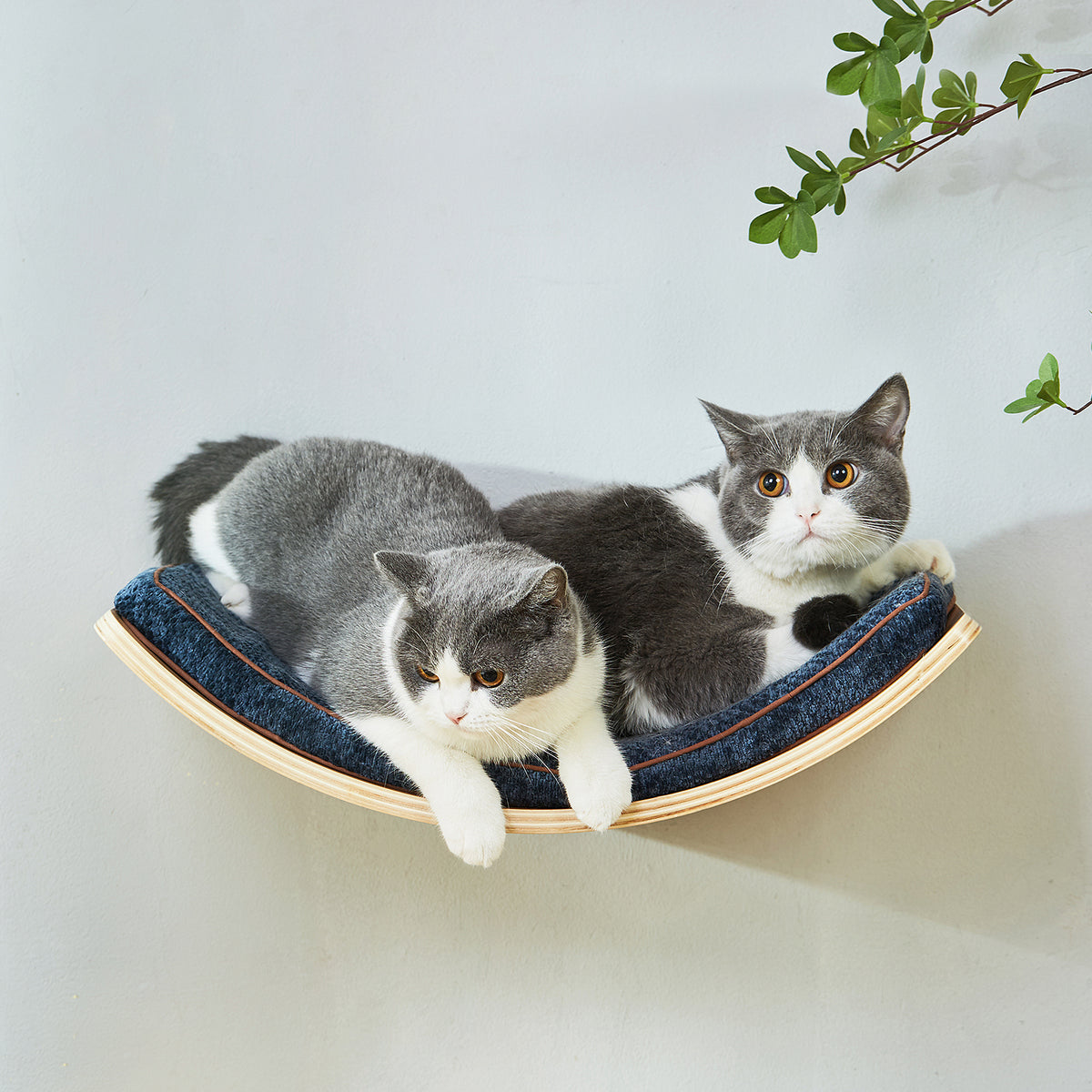 LIORCE Large Curved Cat Shelf - Wall-Mounted Cat Beds