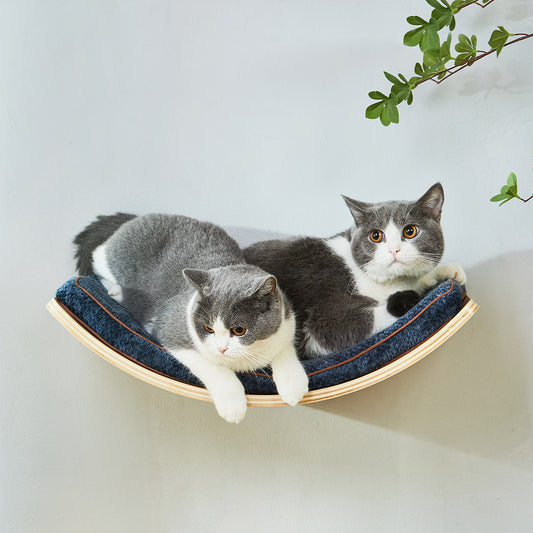 LIORCE Large Curved Cat Shelf - Wall-Mounted Cat Beds 1600