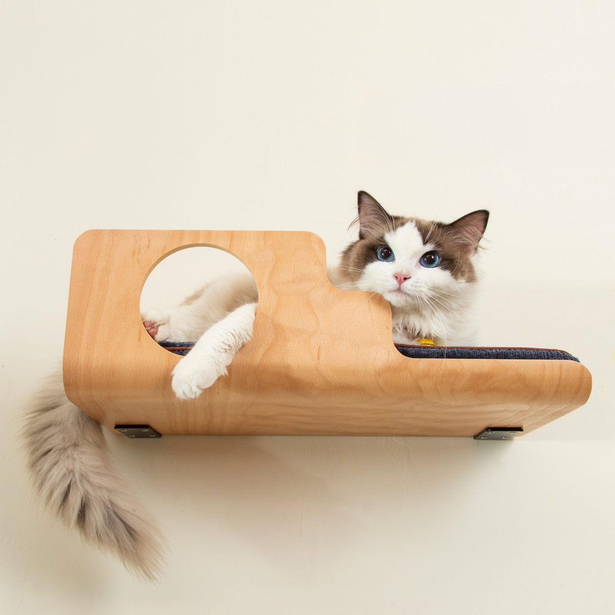 LIORCE Hole Cat Wall Shelf