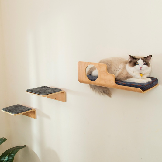 LIORCE Hole Cat Wall Shelves & 2 Cat Wall Steps 1600