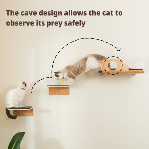 LIORCE Hole Cat Wall Shelves & 2 Cat Wall Steps