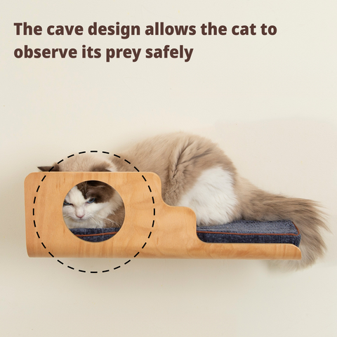 LIORCE Hole Cat Wall Shelf