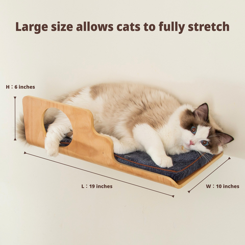 LIORCE Hole Cat Wall Shelf