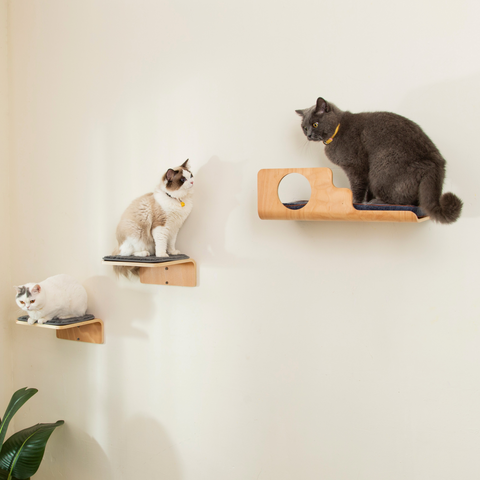 LIORCE Hole Cat Wall Shelves & 2 Cat Wall Steps