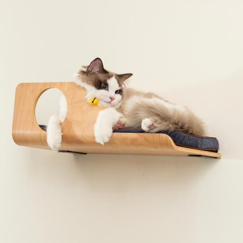 LIORCE Hole Cat Wall Shelf