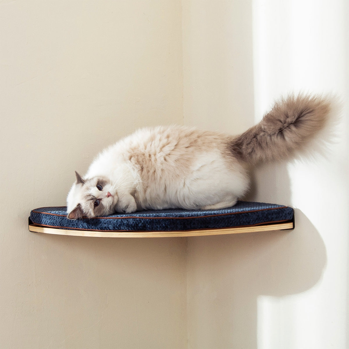COOLEX Curved Cat Wall Shelf With Cushion - Floating Cat Bed Perch, Solid Wood, Holds 30 Lbs