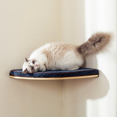 LIORCE Corner Cat Shelf with Comfortable Cat Pad