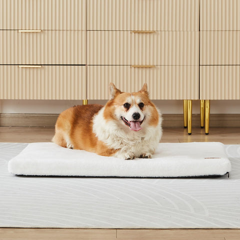 Memory Foam Dog Crate Pad