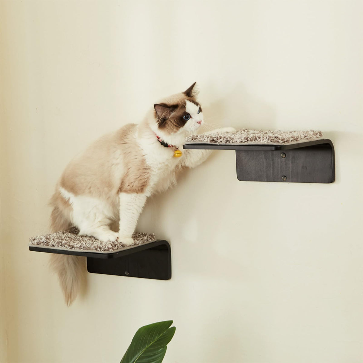 LIORCE 2 Set Cat Wall Steps - Wooden Cat Climbing Shelves