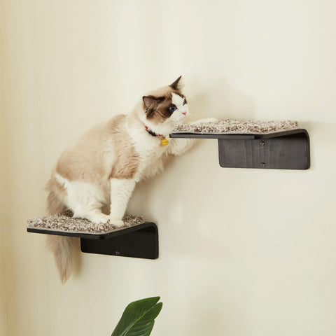 LIORCE 2 Set Cat Wall Steps - Wooden Cat Climbing Shelves