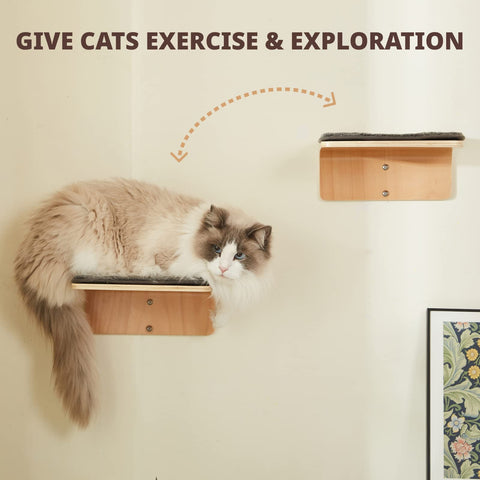 LIORCE 2 Set Cat Wall Steps - Wooden Cat Climbing Shelves