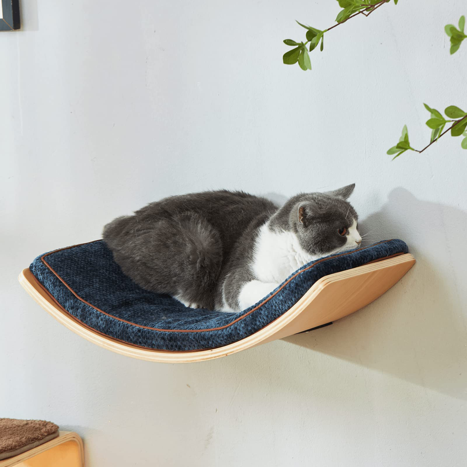 LIORCE Large Curved Cat Shelf Wall Mounted Cat Beds