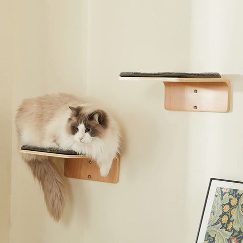 LIORCE 2 Set Cat Wall Steps - Wooden Cat Climbing Shelves