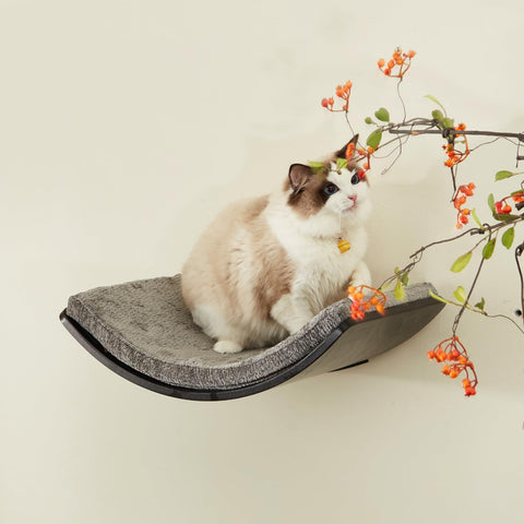 LIORCE Large Curved Cat Shelf - Wall-Mounted Cat Beds