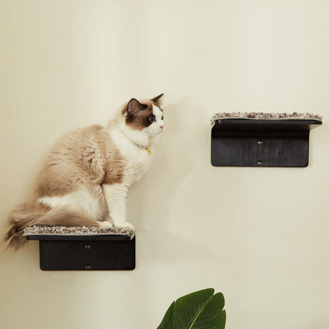 LIORCE 2 Set Cat Wall Steps - Wooden Cat Climbing Shelves