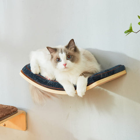 LIORCE Curved Cat Shelf - Wall-Mounted Cat Beds