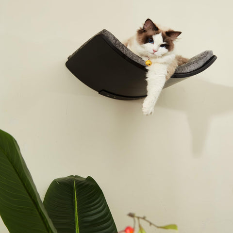 LIORCE Large Curved Cat Shelf - Wall-Mounted Cat Beds