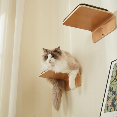 LIORCE 2 Set Cat Wall Steps - Wooden Cat Climbing Shelves