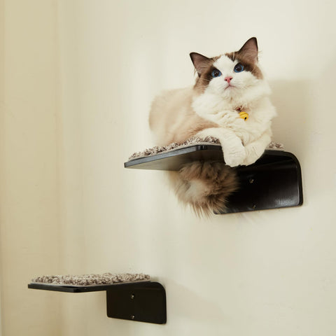 LIORCE 2 Set Cat Wall Steps - Wooden Cat Climbing Shelves